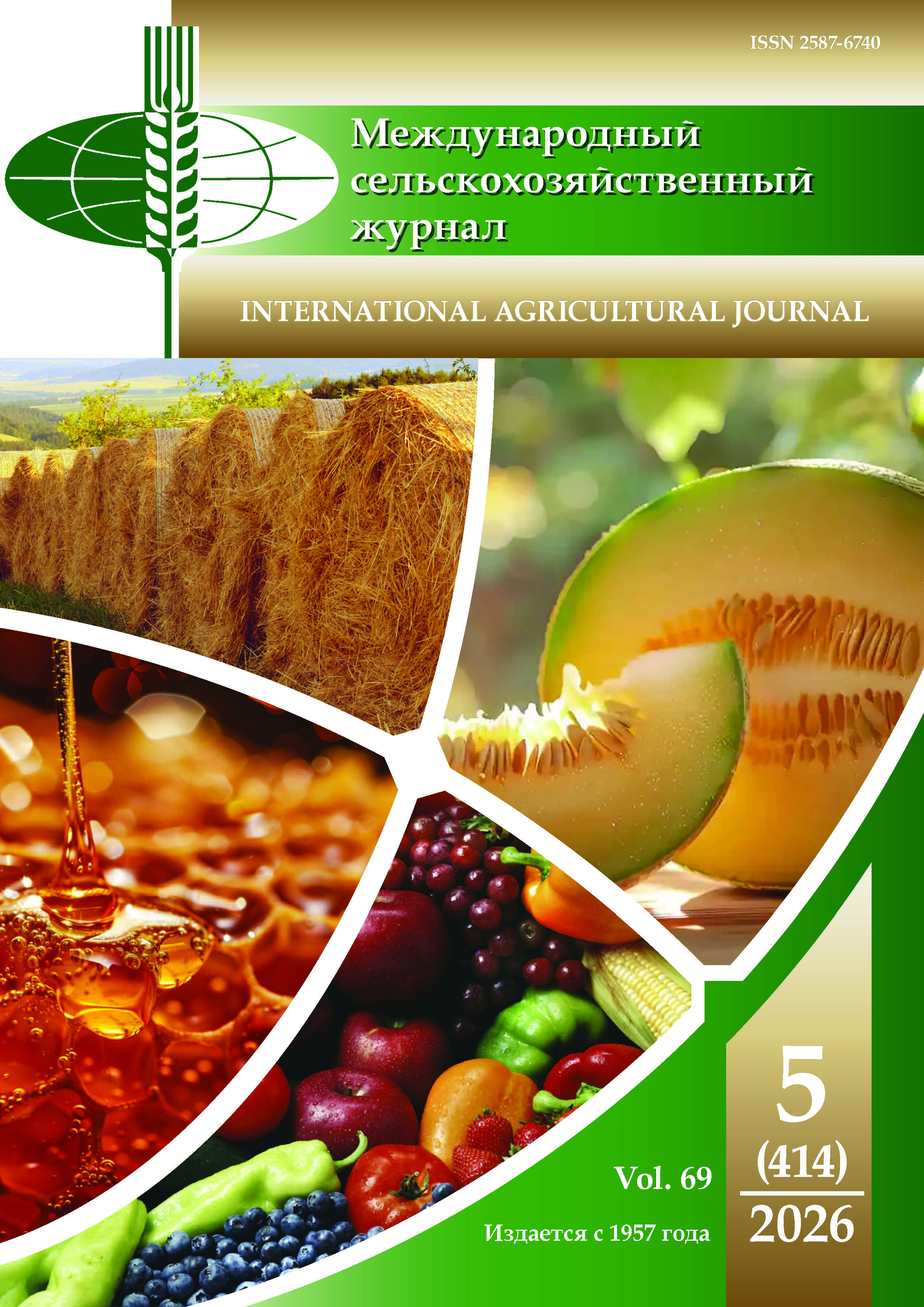 Issue 5